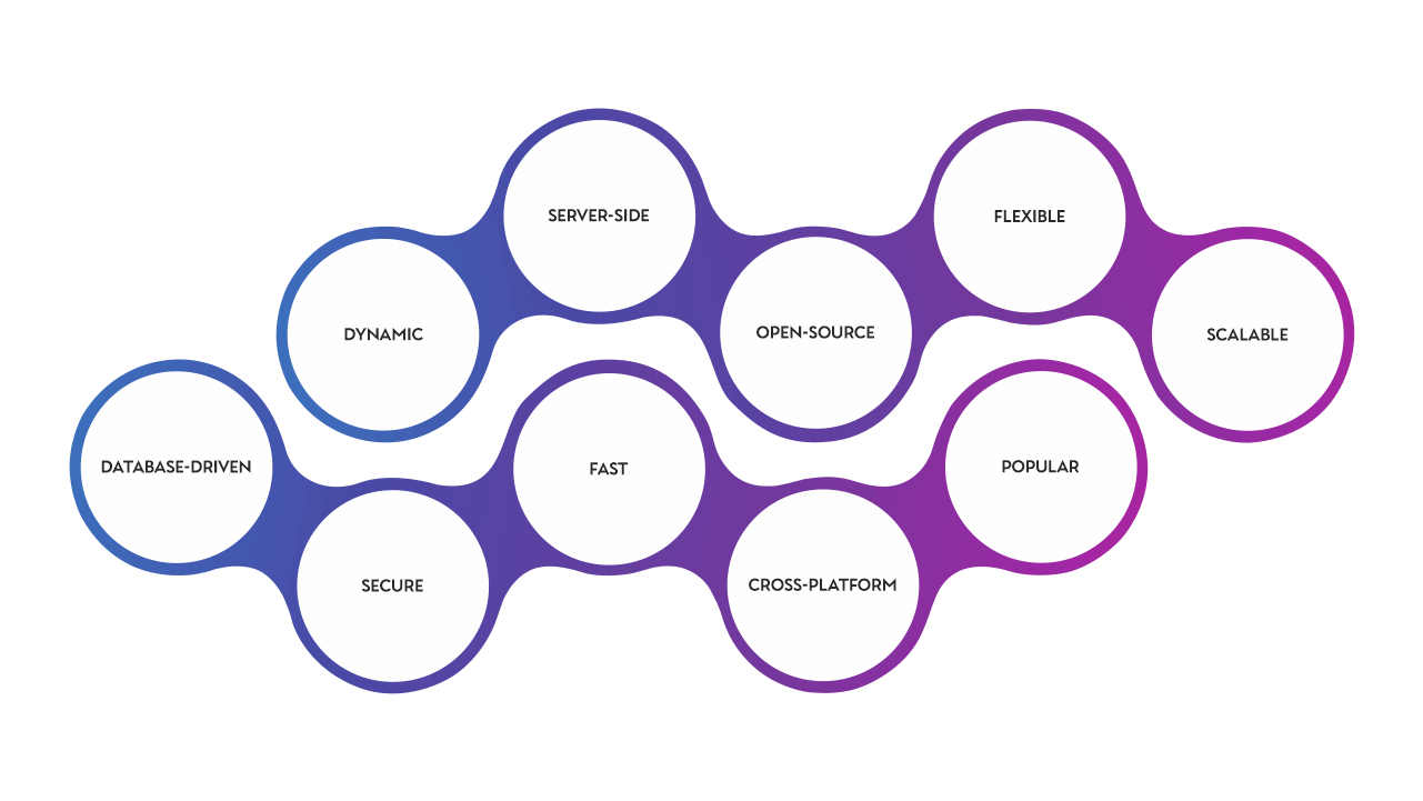 web_design_development
